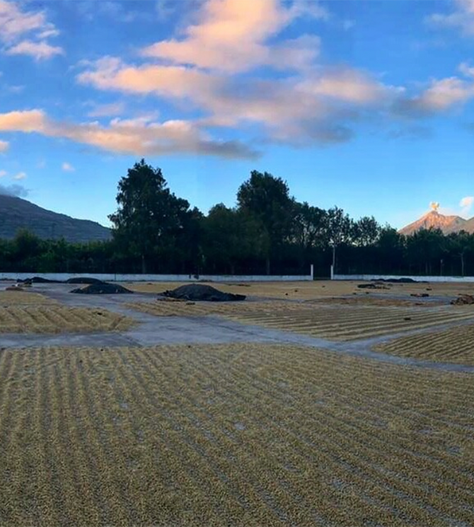 {"class" => "frame"}