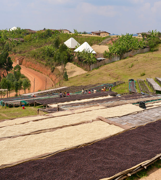 {"class" => "frame"}