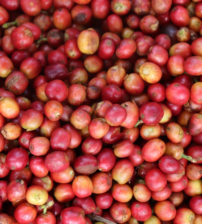 {"class" => "frame"}