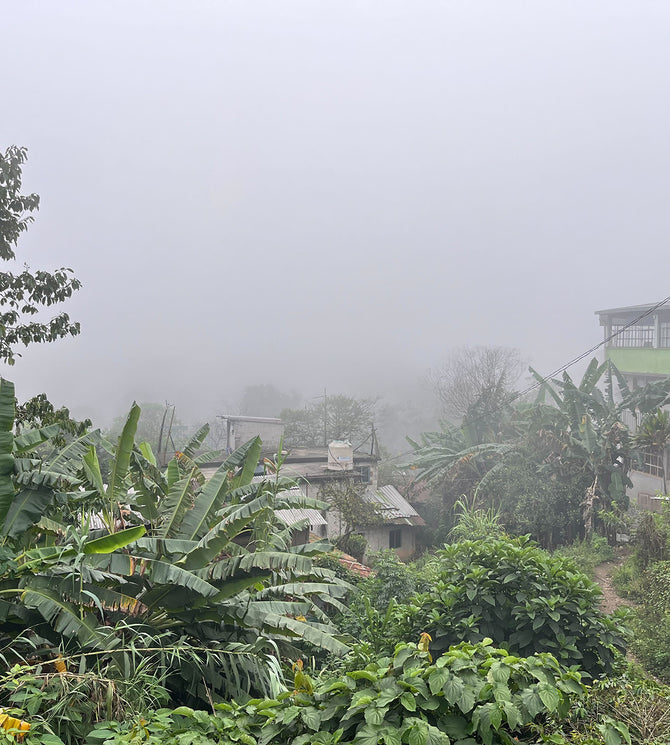 {"class" => "frame"}