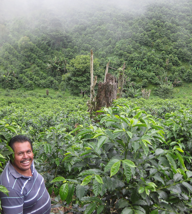 {"class" => "frame"}